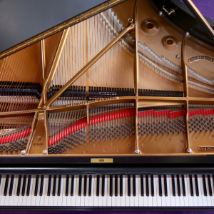 Charity Concert by the Capriccio Ensemble