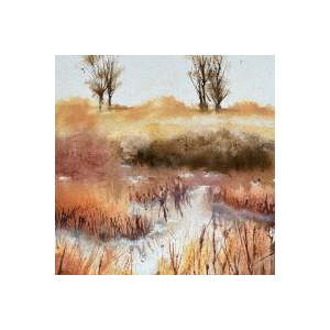 Kirstie Edwards First Solo Exhibition