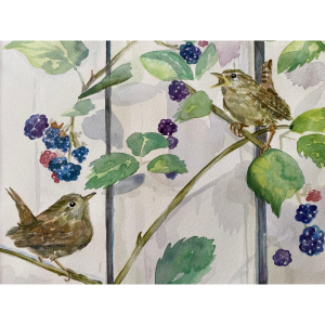 'Land, Sea and Feathers' an exhibition by Georgina Smart