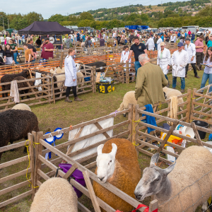 Keighley & District Agricultural Show