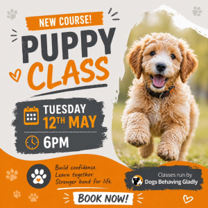🐾 NEW Puppy Classes at The Empawrium Sutton Coldfield 🐶