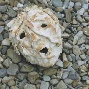 The Stones Cry Out – Dorothy Morris