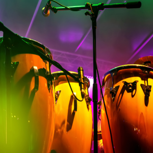 Rum & Reggae Festival Shrewsbury 2026