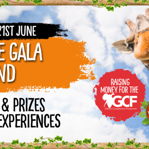 Giraffe Gala Weekend 20th - 21st June