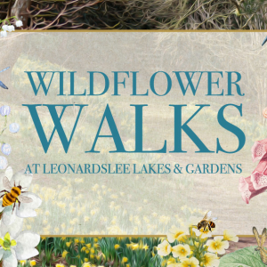 Wildflower Walks