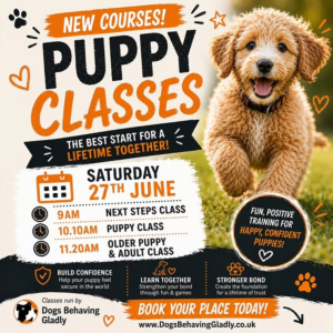 NEW Puppy Classes Are Here - The Empawrium! 🎉🐶