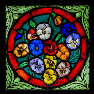 Patterns of Farnham – Stained Glass, Day 2
