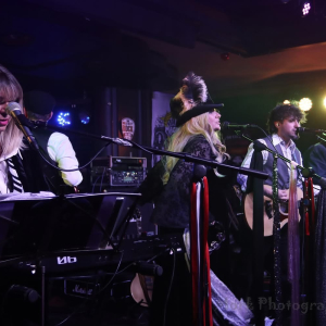Fleetwood Mack Experience