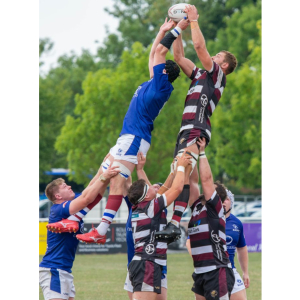 Taunton Titons RFC  Home Fixtures