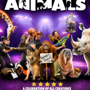 Amazing Animals
