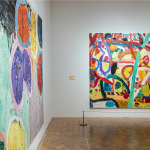 Gillian Ayres: A Life in Colour