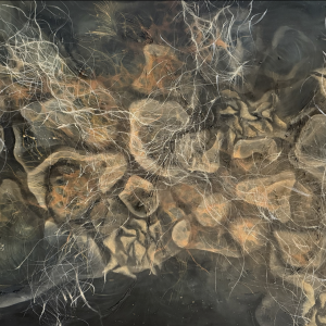 EMERGING PERSPECTIVES