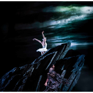 RBO: Swan Lake