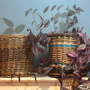 Make a willow planter