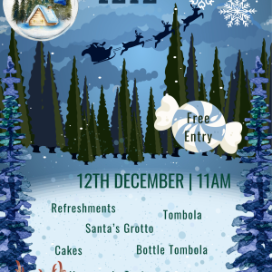 Mattesley Court Christmas Fete