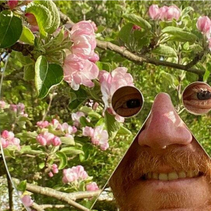 Mirroring Nature with artist Freddie Yauner
