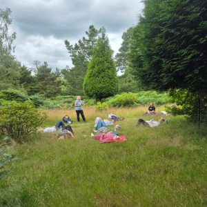 Forest Bathing 
