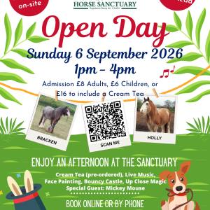 Open Day at Remus Memorial Horse Sanctuary