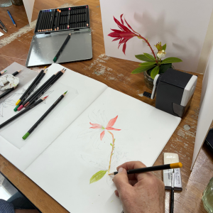 Botanical Illustration Workshop