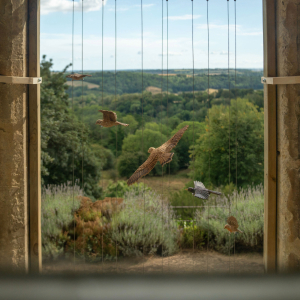 New Work at Newark Park: A Sculpture Exhibition
