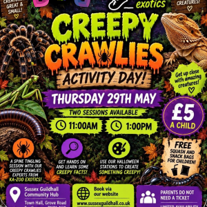 Creepy Crawley Activity Day!