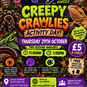 Creepy Crawley Activity Day!