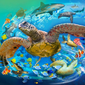 SEA LIFE Manchester Aquarium