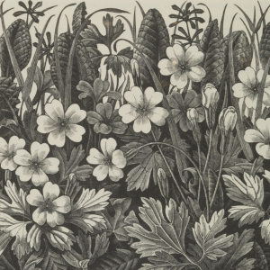  Monica Poole: Nature’s Dark Beauty