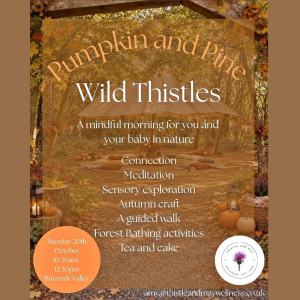 🍂 Pumpkin & Pine at Buzzards Valley 🍂