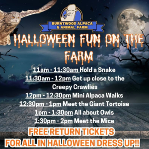 🎃 👻 Halloween at Burntwood Alpaca and Animal Experiences 🦙 🕷️