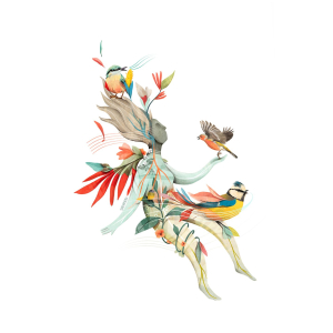 Bird Bath – Alice Eldridge & Alistair Appleton 