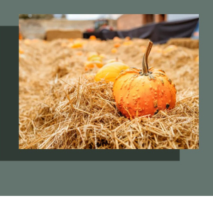 Halloween: The Duke's Magical Maze & Menagerie At Boughton House