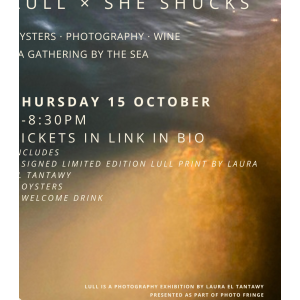 LULL x She Shucks - Photography wine & oysters