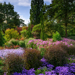 Evening Online Talks from RHS Garden Wisley
