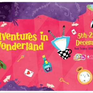 Adventures In Wonderland
