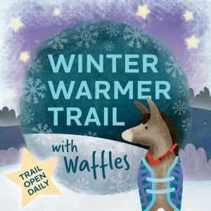 Winter Warmer Trail with Waffles