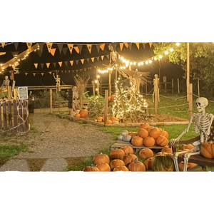 Pumpkin Party Night at West Lodge Rural Centre