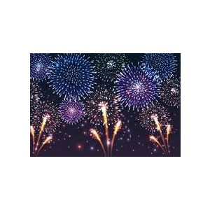 Wyvern Firework Display