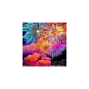 Oak Manor Firework Display & Disco