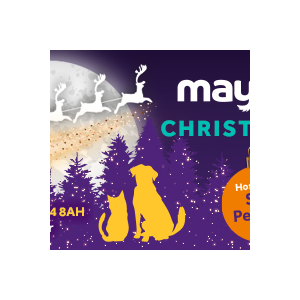 Mayhew’s 140th Anniversary Christmas Concert