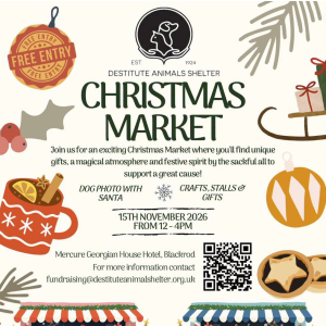 Destitute Animal Shelter Christmas Market