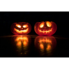 Halloween Fun & Skeleton Hunt at The Darwin, Shrewsbury