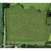 Wistow Maze 2026