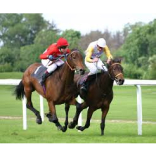 National Hunt Racing at Taunton Racecourse