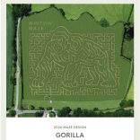 The Famous Wistow Maize Maze