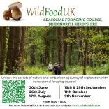 Foraging courses with Wild Food UK