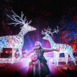 Christmas at Dunham Massey 