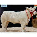 Agrifest - Westpoint Exeter