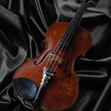 The Fiddle