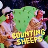 Counting Sheeps
